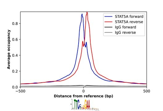 Anti-STAT5A antibody produced in rabbit Prestige Antibodies® Powered by Atlas Antibodies, affinity isolated antibody, buffered aqueous glycerol solution