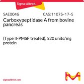 Carboxypeptidase A from bovine pancreas (Type II-PMSF treated), ≥20 units/mg protein