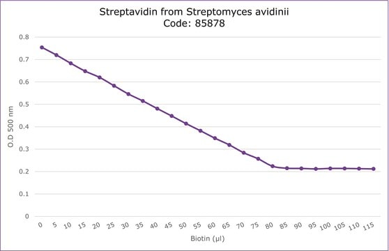 Streptavidin from Streptomyces avidinii affinity purified, lyophilized from 10 mM potassium phosphate, &#8805;13&#160;U/mg protein