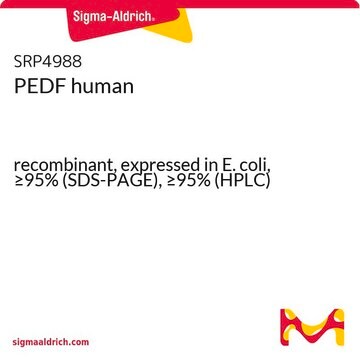 PEDF 人 recombinant, expressed in E. coli, &#8805;95% (SDS-PAGE), &#8805;95% (HPLC)