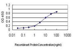 Monoclonal Anti-NMNAT2 antibody produced in mouse clone 2E4, purified immunoglobulin, buffered aqueous solution