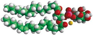 Liver PI Avanti Research&#8482; - A Croda Brand