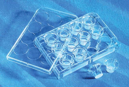 Corning&#174; Transwell&#174; polycarbonate membrane cell culture inserts 6.5 mm Transwell with 0.4 &#956;m pore polycarbonate membrane insert, TC-treated, w/lid, sterile, 48/cs