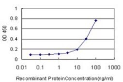 Monoclonal Anti-DEFB4 antibody produced in mouse clone 4C4, purified immunoglobulin, buffered aqueous solution