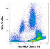 Monoclonal Anti-HLA Class I-PE antibody produced in mouse clone MEM-123, purified immunoglobulin, buffered aqueous solution