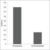 Anti-phospho-FRS2 (pTyr436) antibody produced in rabbit affinity isolated antibody