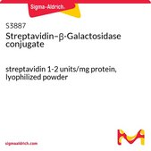 Streptavidin–β-Galactosidase conjugate streptavidin 1-2 units/mg protein, lyophilized powder