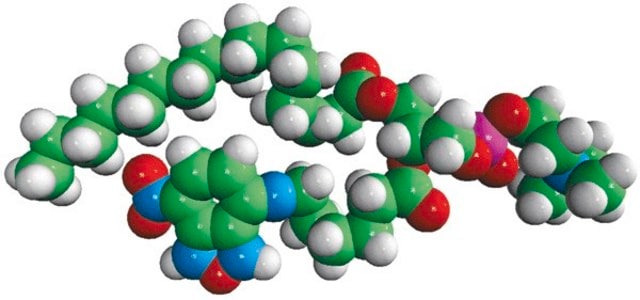 16:0-06:0 NBD PC Avanti Polar Lipids 810130C