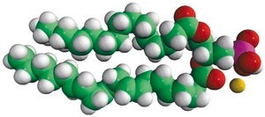 16:0-20:4 PA 1-palmitoyl-2-arachidonoyl-sn-glycero-3-phosphate (sodium salt), chloroform