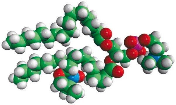 16:0-10 Doxyl PC Avanti Polar Lipids 810603C