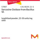 Sarcosine Oxidase from Bacillus sp. lyophilized powder, 25-50 units/mg solid