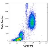 Monoclonal Anti-CD10-PE antibody produced in mouse clone LT10, purified immunoglobulin, buffered aqueous solution