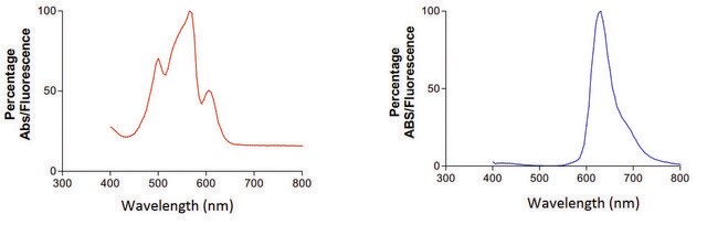 Monoclonal Anti-Lrp4 - Pe/Atto 594 antibody produced in mouse clone S164-6, purified immunoglobulin