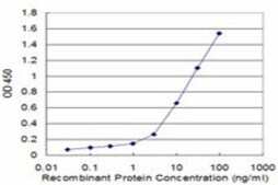 Monoclonal Anti-RABIF antibody produced in mouse clone 3A6, purified immunoglobulin, buffered aqueous solution