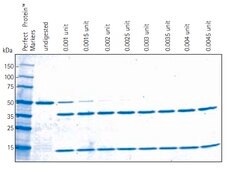 Thrombin Cleavage Capture Kit