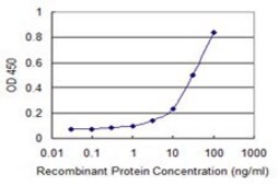 Monoclonal Anti-LMBR1 antibody produced in mouse clone 4A1, purified immunoglobulin, buffered aqueous solution