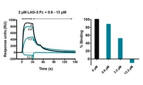 Anti-LAG-3 Antibody, clone 1B5 clone 1B5