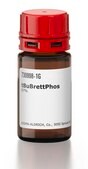 tBuBrettPhos 97%