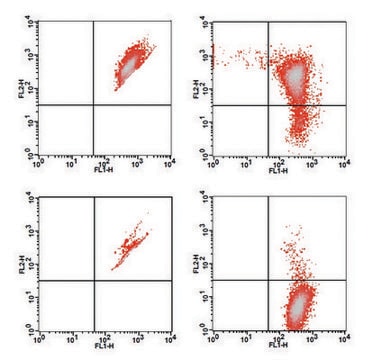 线粒体膜电位检测试剂盒（适用于流式细胞仪） sufficient for 100 fluorometric&nbsp;tests (flow cytometry)
