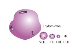 Lipoprotein, low density from human plasma lyophilized powder