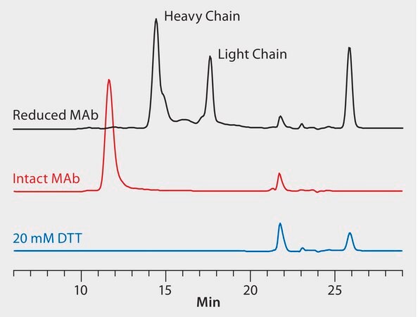 HPLC Analysis of Monoclonal Antibody Heavy and Light Chains on Zenix® SEC-300 application for HPLC