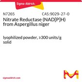 Nitrate Reductase (NAD[P]H) from Aspergillus niger lyophilized powder, ≥300 units/g solid
