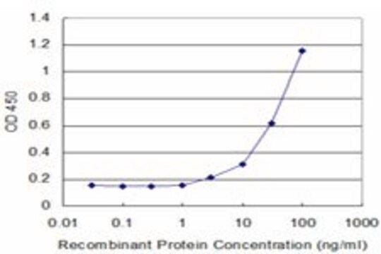 Monoclonal Anti-CYP2D6 antibody produced in mouse clone 2C5, purified immunoglobulin, buffered aqueous solution