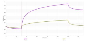 Anti-PGK1 Antibody, clone 2B12 ZooMAb® Rabbit Monoclonal recombinant, expressed in HEK 293 cells