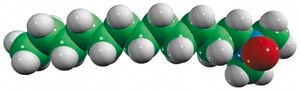 LDAO Avanti Research&#8482; - A Croda Brand