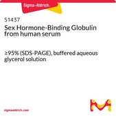 Sex Hormone-Binding Globulin 来源于人类血清 ≥95% (SDS-PAGE), buffered aqueous glycerol solution