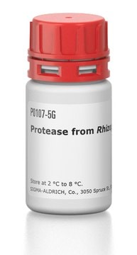 Protease from Rhizopus sp.