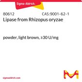 Lipase from Rhizopus oryzae powder, light brown, ≥30 U/mg