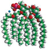 脂质体A – 纯化 Avanti Research™ - A Croda Brand