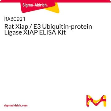 大鼠Xiap / E3泛素蛋白连接酶XIAP ELISA试剂盒