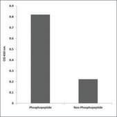 Anti-phospho-CBL (pTyr674) antibody produced in rabbit affinity isolated antibody
