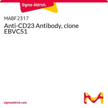 Anti-CD23 Antibody, clone EBVCS1