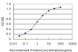 Monoclonal Anti-MYBL2 antibody produced in mouse clone 4B4, purified immunoglobulin, buffered aqueous solution
