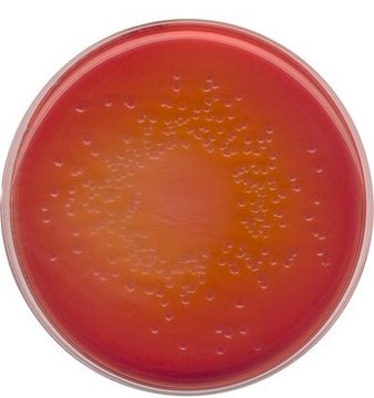 麦康凯琼脂 NutriSelect&#174; Basic, suitable for microbiology