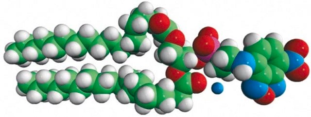 18:0 NBD PE (NBD-DSPE) 1,2-distearoyl-sn-glycero-3-phosphoethanolamine-N-(7-nitro-2-1,3-benzoxadiazol-4-yl) (ammonium salt), powder