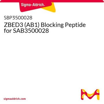 ZBED3 (AB1) Blocking Peptide for SAB3500028