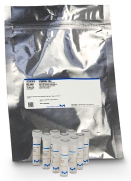 Candida albicans WDCM 00054 Vitroids&#8482; 80-130 CFU mean value range, certified reference material, suitable for microbiology, Manufactured by: Sigma-Aldrich Production GmbH, Switzerland