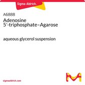 Adenosine 5′-triphosphate–Agarose aqueous glycerol suspension