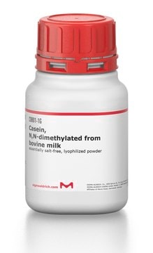酪蛋白，N,N-二甲基化 来源于牛奶 essentially salt-free, lyophilized powder