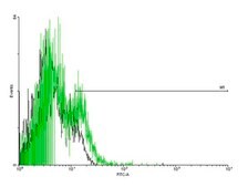 Anti-SPN antibody produced in mouse purified immunoglobulin, buffered aqueous solution