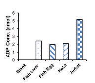 ADP 比色法检测试剂盒 II sufficient for 100 colorimetric&nbsp;tests