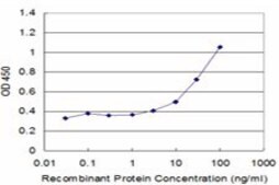 Monoclonal Anti-UBE2B antibody produced in mouse clone 4C3, purified immunoglobulin, buffered aqueous solution