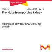 脯氨酸二肽酶 来源于猪肾脏 lyophilized powder, ≥100 units/mg protein