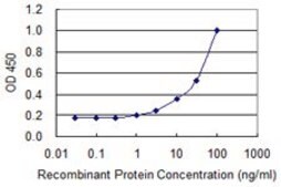 Monoclonal Anti-NOG, (C-terminal) antibody produced in mouse clone 4A1, purified immunoglobulin, buffered aqueous solution