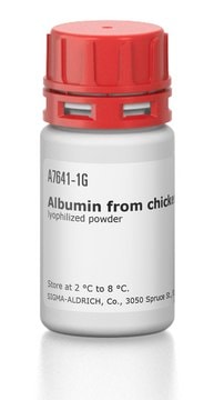 Albumin from chicken egg white lyophilized powder