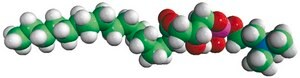 大豆Lyso PC Avanti Research&#8482; - A Croda Brand 840072P, powder